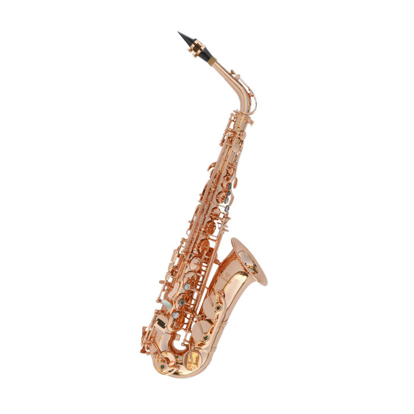  LKAS-220  Alto Saxophone